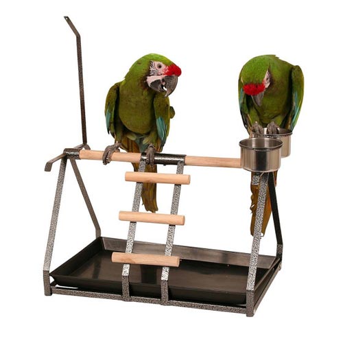 สนามเด็กเล่นนกแก้ว Playstand